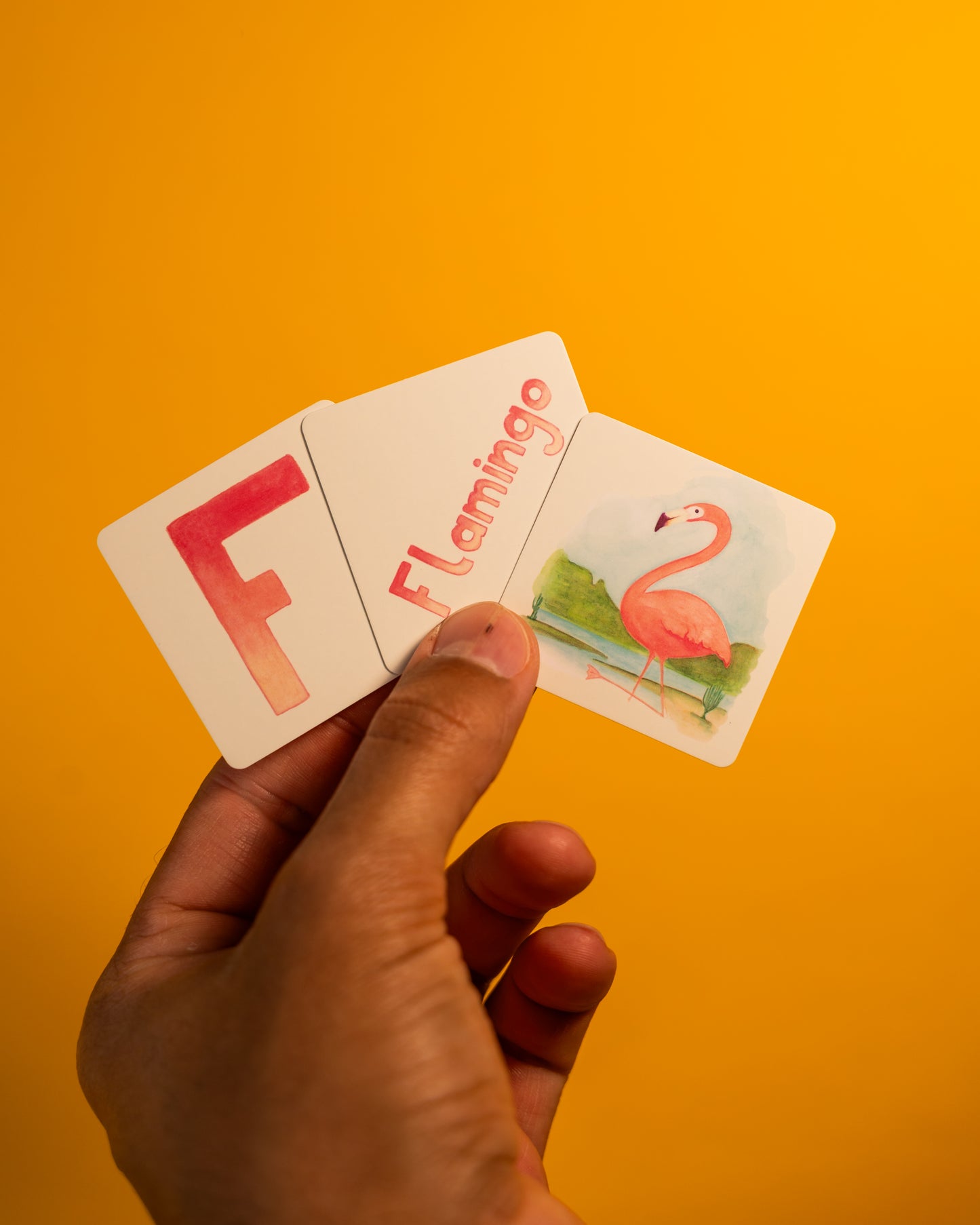 Het ABC eilanden Memory Spel